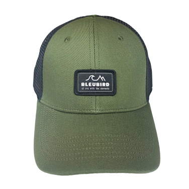 Bleubird venture cap