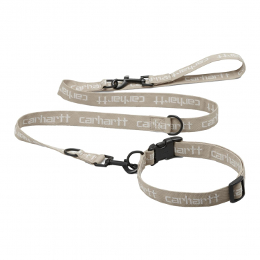 Script Dog Leash & Collar